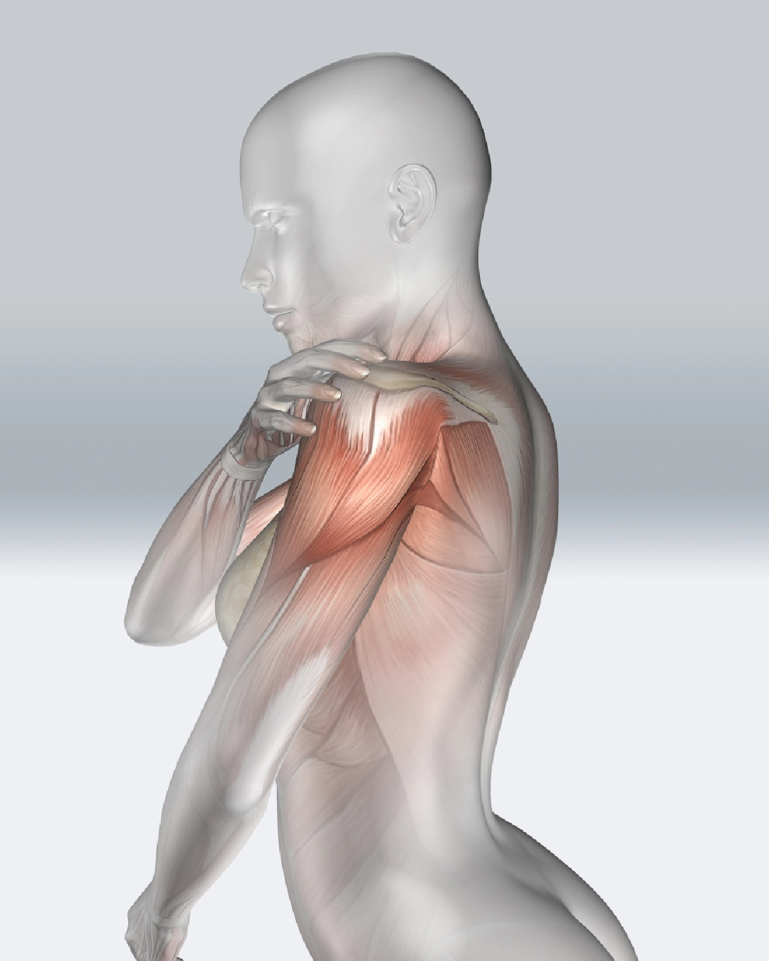 Pain Management